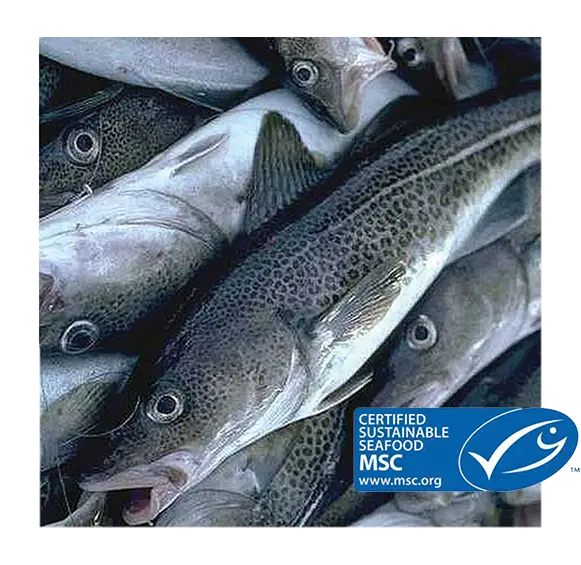env_sustainable_fish